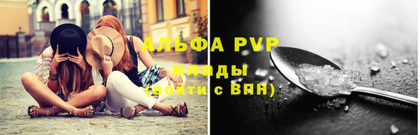 хмурый Новозыбков