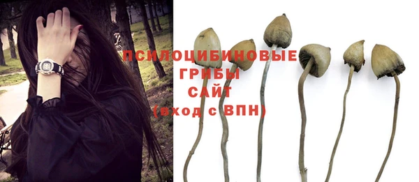 ALPHA PVP Новодвинск