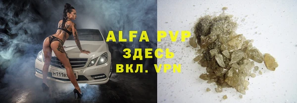 хмурый Новозыбков