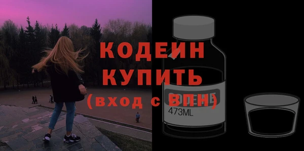 хмурый Новозыбков