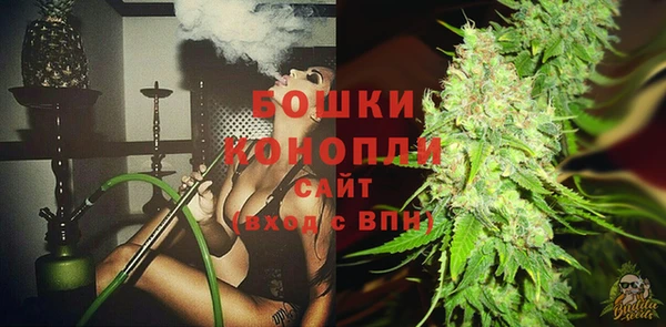хмурый Новозыбков