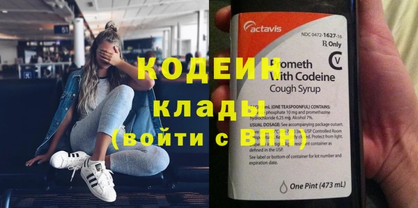 хмурый Новозыбков