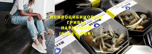индика Щучье