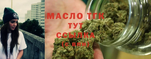 хмурый Новозыбков