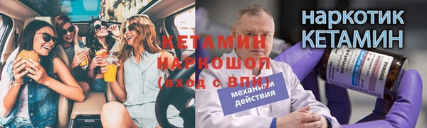 хмурый Новозыбков