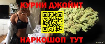 дмт Аргун