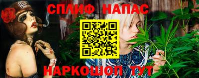 дмт Аргун