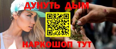 дмт Аргун