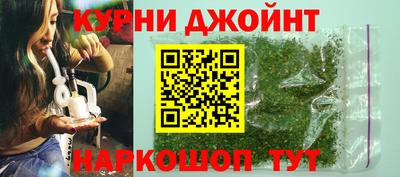 дмт Аргун