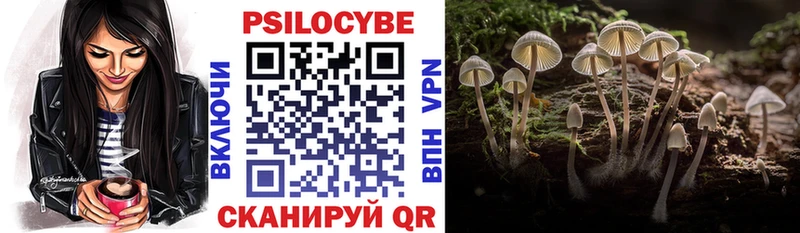 Галлюциногенные грибы мицелий  Великие Луки 