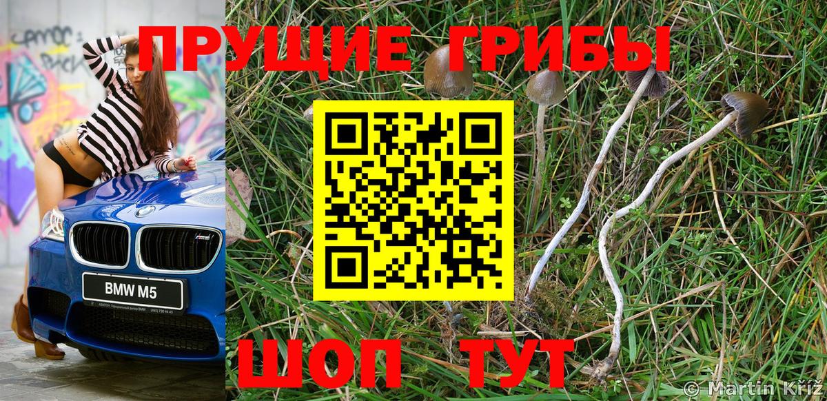 Великие Луки  Галлюциногенные грибы Cubensis  Вход с VPN 