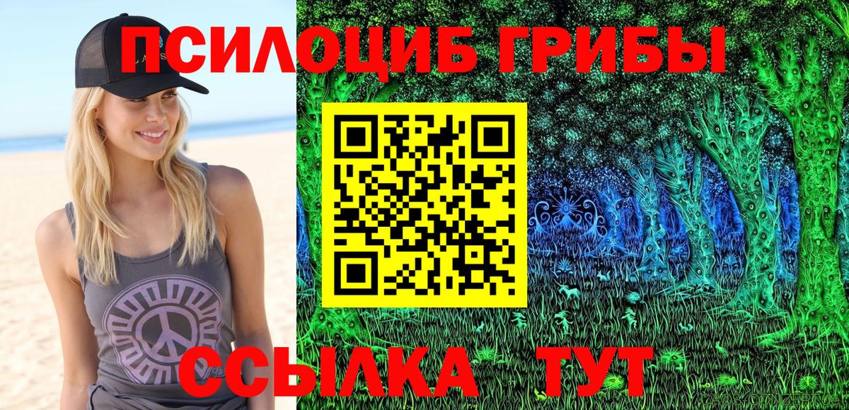 Галлюциногенные грибы мухоморы Великие Луки