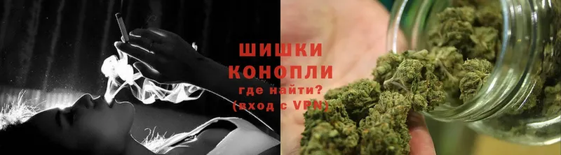 Конопля сатива Великие Луки